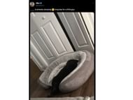 Slipz shares an update on the dog (Image via X/Slipperrz)